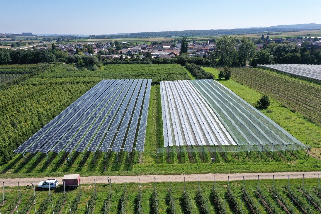 Pesquisa conclui que a energia agrivoltaica na Índia tem um tempo de retorno inferior a cinco anos, Portugal – revista pv